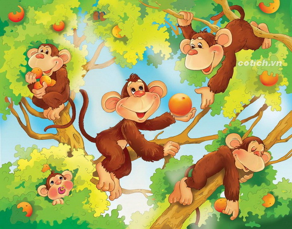 Tại sao đít con khỉ lại màu đỏ? | Tiểu Học Nguyễn Viết Xuân