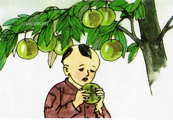Truyện cổ tích sự tích cây vú sữa - Truyện cổ tích Việt Nam đặc sắc cho bé